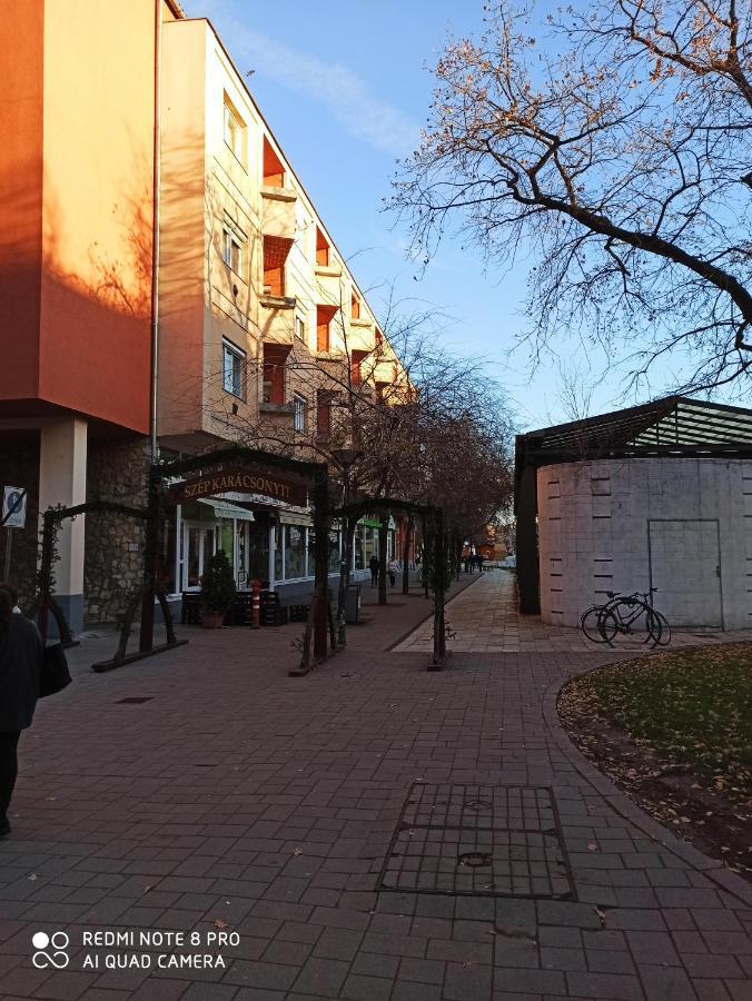 Centrum 2 Apartman Szolnok Exteriör bild